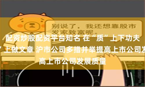配资炒股配资平台知名 在“质”上下功夫 在“量”上做文章 沪市公司多措并举提高上市公司发展质量