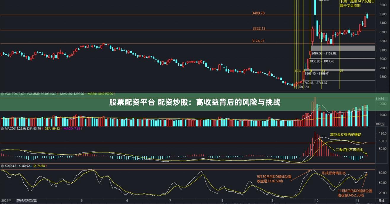 股票配资平台 配资炒股：高收益背后的风险与挑战